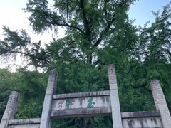 -昆山城市生态森林公园