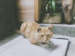 -悟饮门市景店