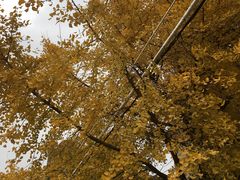 -汉堡王(北京三里屯购物中心)