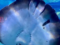 -绿色星球动物主题公园