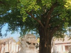 -北京石刻艺术博物馆(五塔寺)
