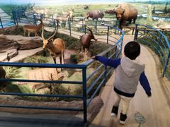 -陕西自然博物馆