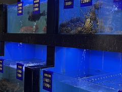 -1718海鲜姿造(苏宁宴请臻选店)