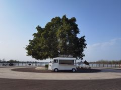 -云里小坐·海泉湾·团建·宴席·下午茶(金堂海泉湾店)