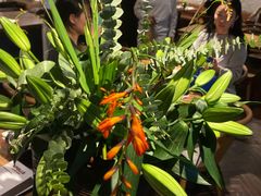 -Apollo·西班牙小酒馆(安福路店)