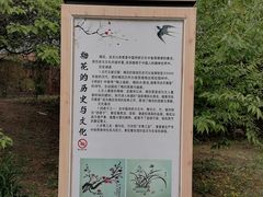 -北京鹫峰国家森林公园