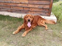 景点-上海长兴岛郊野公园