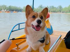 -杨柳青庄园