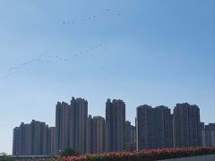 -厦门园林博览苑