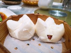 -鹅城