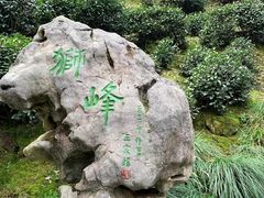 -十八棵（老龙井）御茶园(老龙井店)