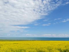 -青海湖国家重点风景名胜区