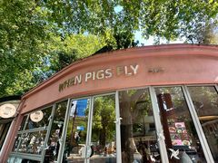 -WHEN PIGS FLY当猪飞
