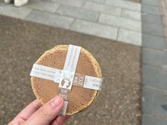 -奈良公园