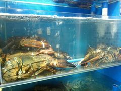 -蚝专家(北滘店)