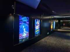 -奥斯卡升龙国际影城(RealD Cinema)