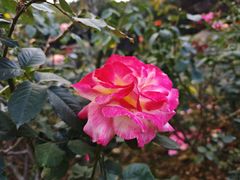 -广州市白云山风景名胜区