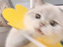 -宴会中心