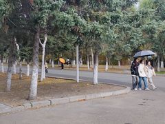 -东北农业大学
