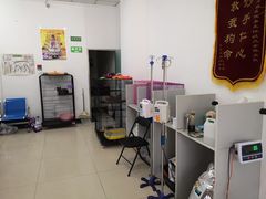 -香河县乐康动物诊所