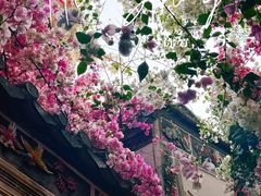 -深圳国际园林花卉博览园