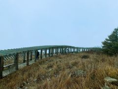 -白草畔自然风景区