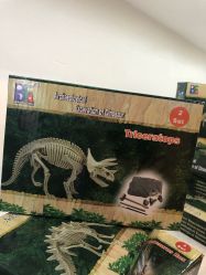 -恐龙探索乐园(磁器口店)