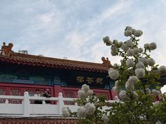 -曹州牡丹园
