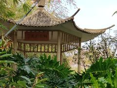 -晓港公园