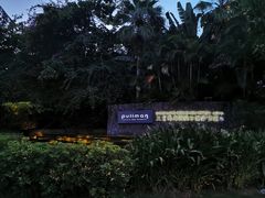 -三亚湾海居铂尔曼度假酒店