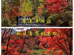 -洋湖沟