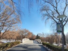 -大兴滨河森林公园
