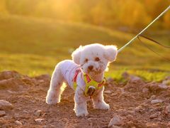 -酷宠动物医院(天通西苑店)