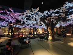 -蓝鲸湾汤泉(包河店)