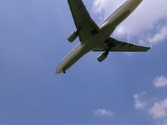 -空港花田景区