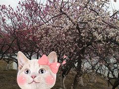 -白塘生态植物园