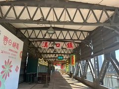 -武汉知音号