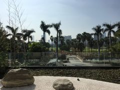 -棕榈泉国际高尔夫学院