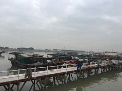 -大湾区中央湿地公园-十九涌