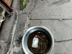 -涞滩古镇