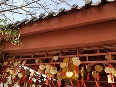 景点-青岛方特梦幻王国