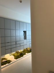 -苑苑vbeauty科技美容SPA