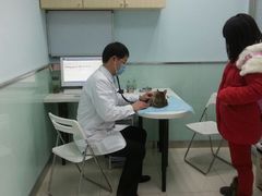 -纳吉亚猫专科动物医院博雅分院
