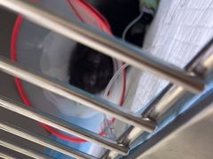 -佳怡动物医院·平价24小时·猫专科骨外科