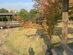 -白塘生态植物园