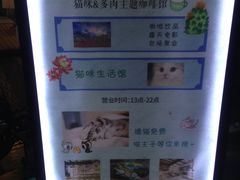 -猫咪博物馆(顶澳仔猫街店)