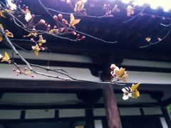 -西安青龙寺遗址景区