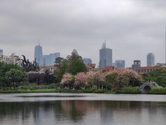 -四海公园(南山区)