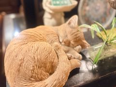 -古董花园(思南路42弄小区店)