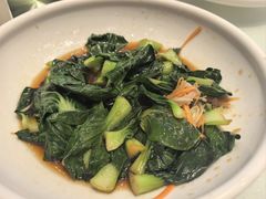 -凯鸽酒楼(操场城店)